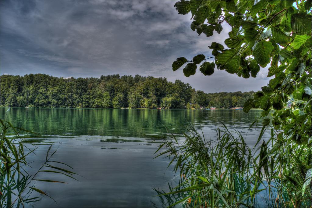 Hotel Am Liepnitzsee Wandlitz Ngoại thất bức ảnh