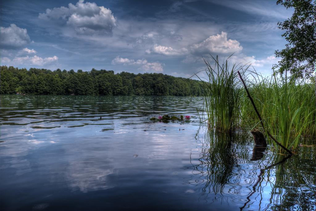 Hotel Am Liepnitzsee Wandlitz Ngoại thất bức ảnh