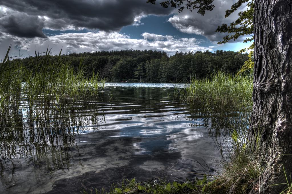 Hotel Am Liepnitzsee Wandlitz Ngoại thất bức ảnh
