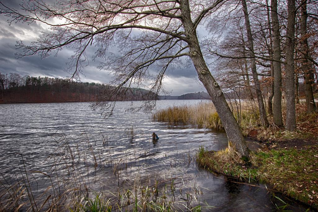 Hotel Am Liepnitzsee Wandlitz Ngoại thất bức ảnh