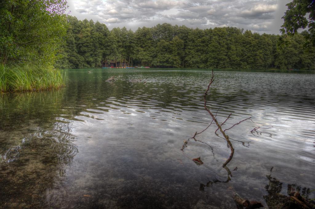 Hotel Am Liepnitzsee Wandlitz Ngoại thất bức ảnh