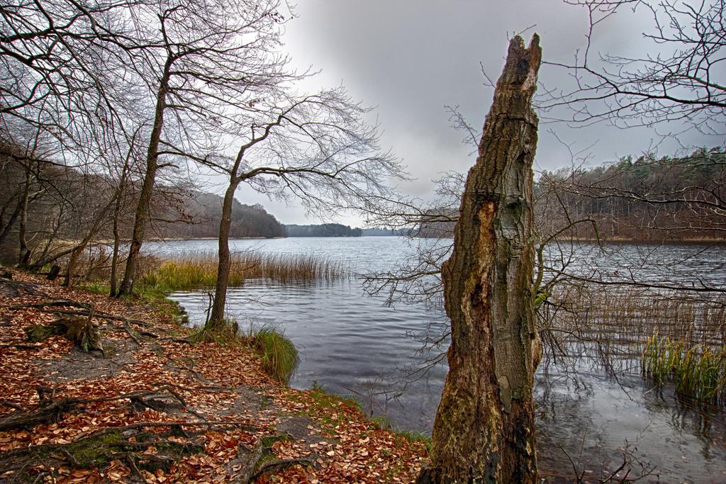 Hotel Am Liepnitzsee Wandlitz Ngoại thất bức ảnh