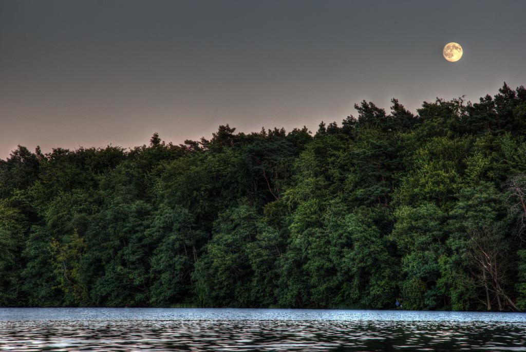 Hotel Am Liepnitzsee Wandlitz Ngoại thất bức ảnh