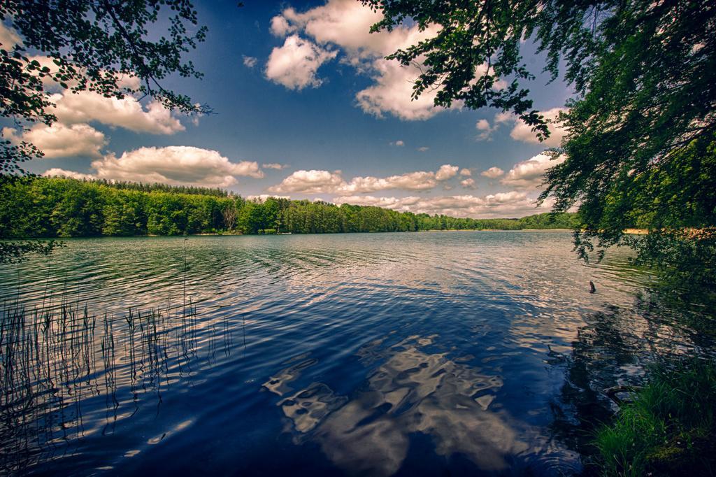 Hotel Am Liepnitzsee Wandlitz Ngoại thất bức ảnh
