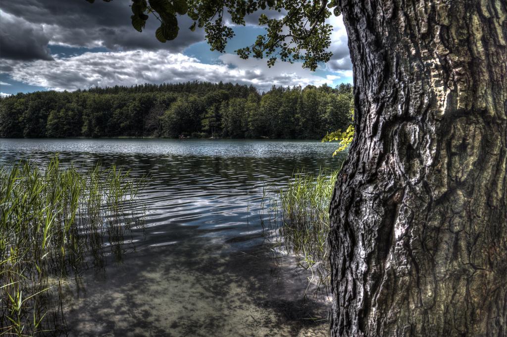 Hotel Am Liepnitzsee Wandlitz Ngoại thất bức ảnh
